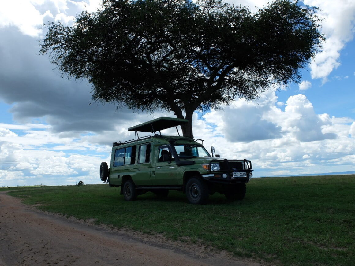 Safari Notları - Kenya