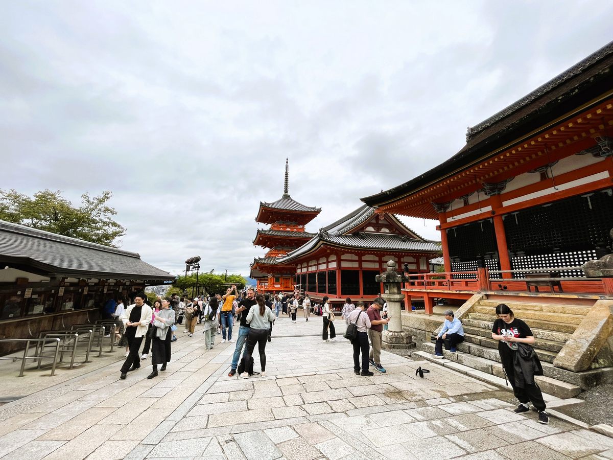 Fuji dağından Tokyo'ya